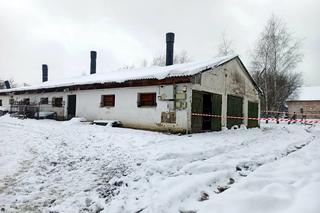 Zawalił się dach budynku gospodarczego w Lipnicy. Zginęły zwierzęta!