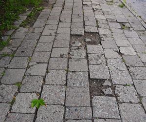 To najbrzydsza ulica według AI. „Stanowi kontrast do nowoczesnej infrastruktury miasta”
