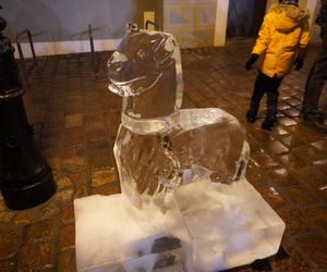 Poznań Ice Festival 2024 - dzień drugi