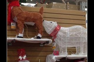 Najlepsze memy o świętach! Wszyscy znacie TE sytuacje