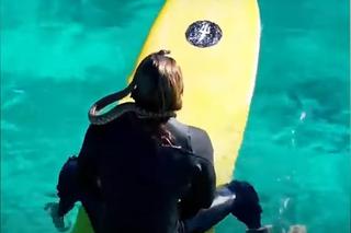Australijczyk surfował z pytonem! Został ukarany karą grzywny 