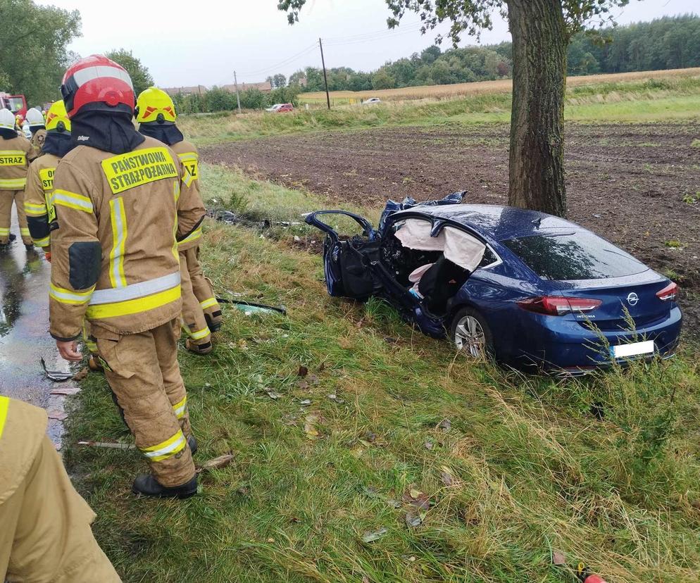 Tragedia na drodze. Nie żyją dwie osoby [ZDJĘCIA]