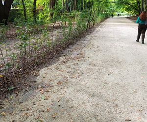 Usterki na Alei Fałata