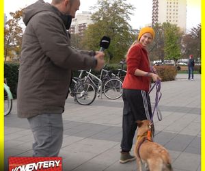 Dlaczego w Polsce nie rodzą się dzieci? Ja wolę PSY i KOTY! Mnie nie stać nawet na psa!