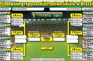 Mundial 2014. Grupy - Hiszpania zagra z Holandią, Niemcy z Portugalią