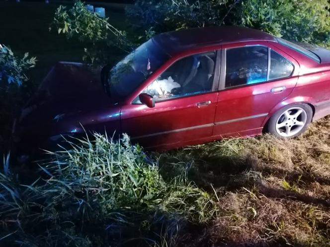 Pies wyskoczył wprost pod koła BMW. Matka z dziećmi zjechała do rowu [ZDJĘCIA]