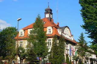 Kleszcze afrykańskie w Polsce