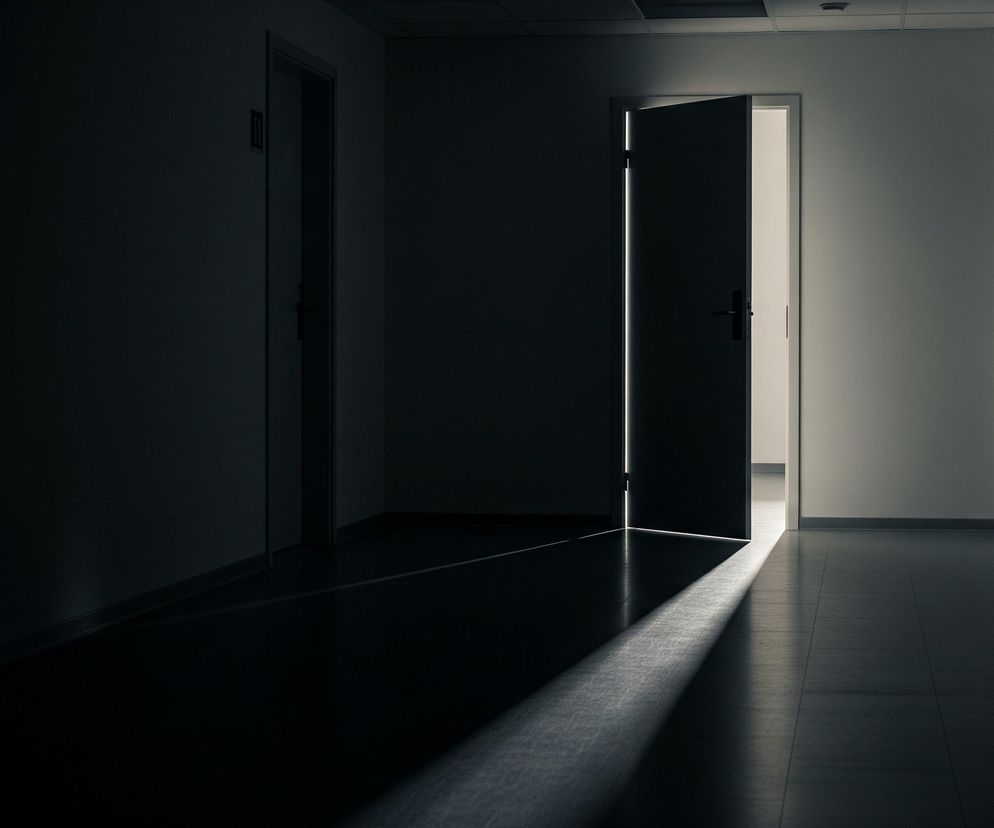 Ciemny korytarz rozświetlony jest pojedynczym, otwartym drzwiami na końcu. Zza uchylonych drzwi bije silne, białe światło, tworząc długą, wąską smugę na podłodze. Korytarz jest pusty, ściany są w odcieniach szarości, a podłoga jest ciemna i lśniąca, z widocznymi prostokątnymi panelami. Po lewej stronie widać zamknięte drzwi z niewielkim, czerwonym symbolem.