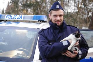 Wałcz: Policjanci z powiatowej komendy zaopiekowali się kotkiem. Internauci podpowiadają, co z nim zrobić