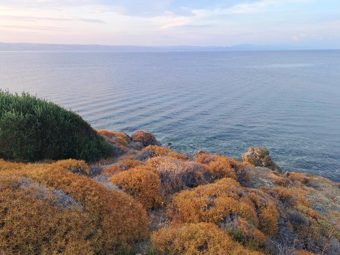 Lesvos - wakacje na wyspie Safony