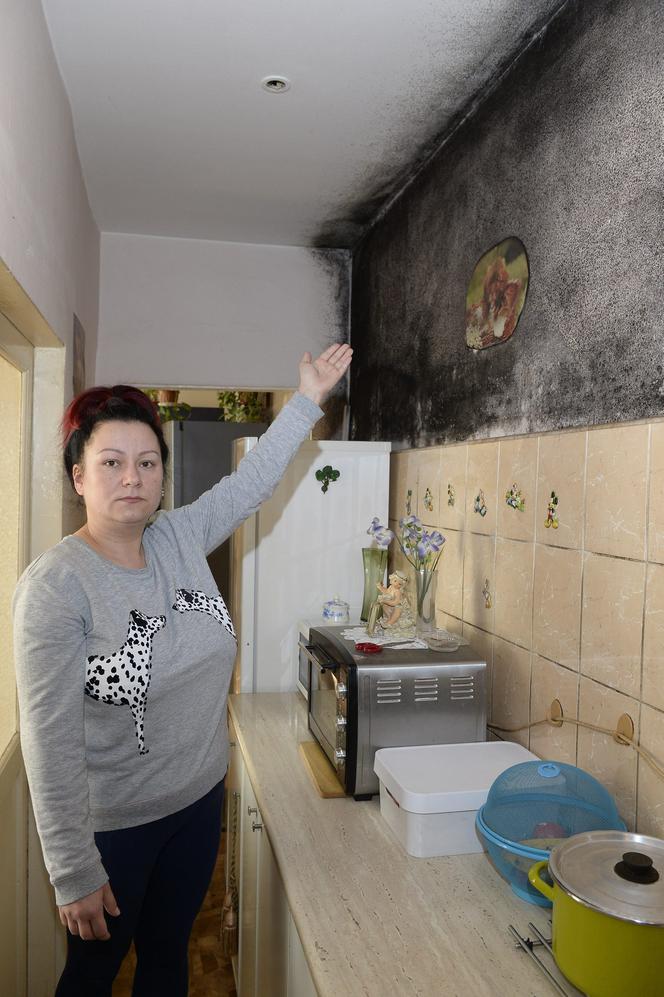 Ten grzyb nas zabije! Przerażające warunki w mieszkaniu komunalnym na Mińskiej.