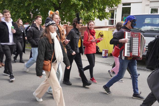 Juwenalia 2025 w Kielcach. Korowód studentów