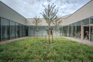 szkoła Cynamonowa 13