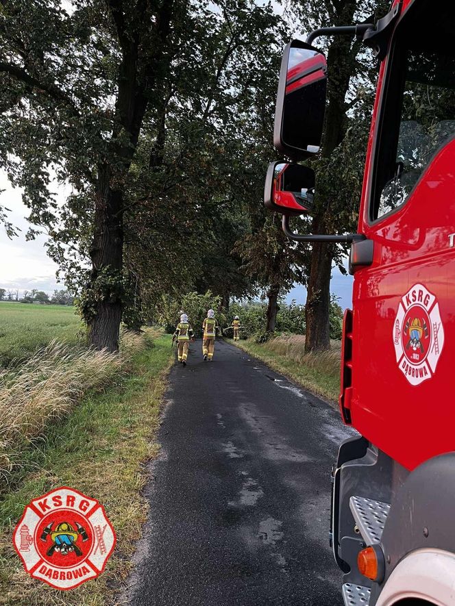Potężna burza przeszła przez Bydgoszcz i region. Ponad 400 interwencji strażaków!