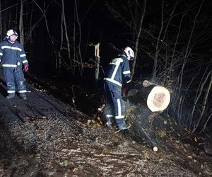 Zerwane dachy i powalone drzewa w Śląskiem. Przez wieczorny wiatr strażacy mieli dużo roboty ZDJĘCIA