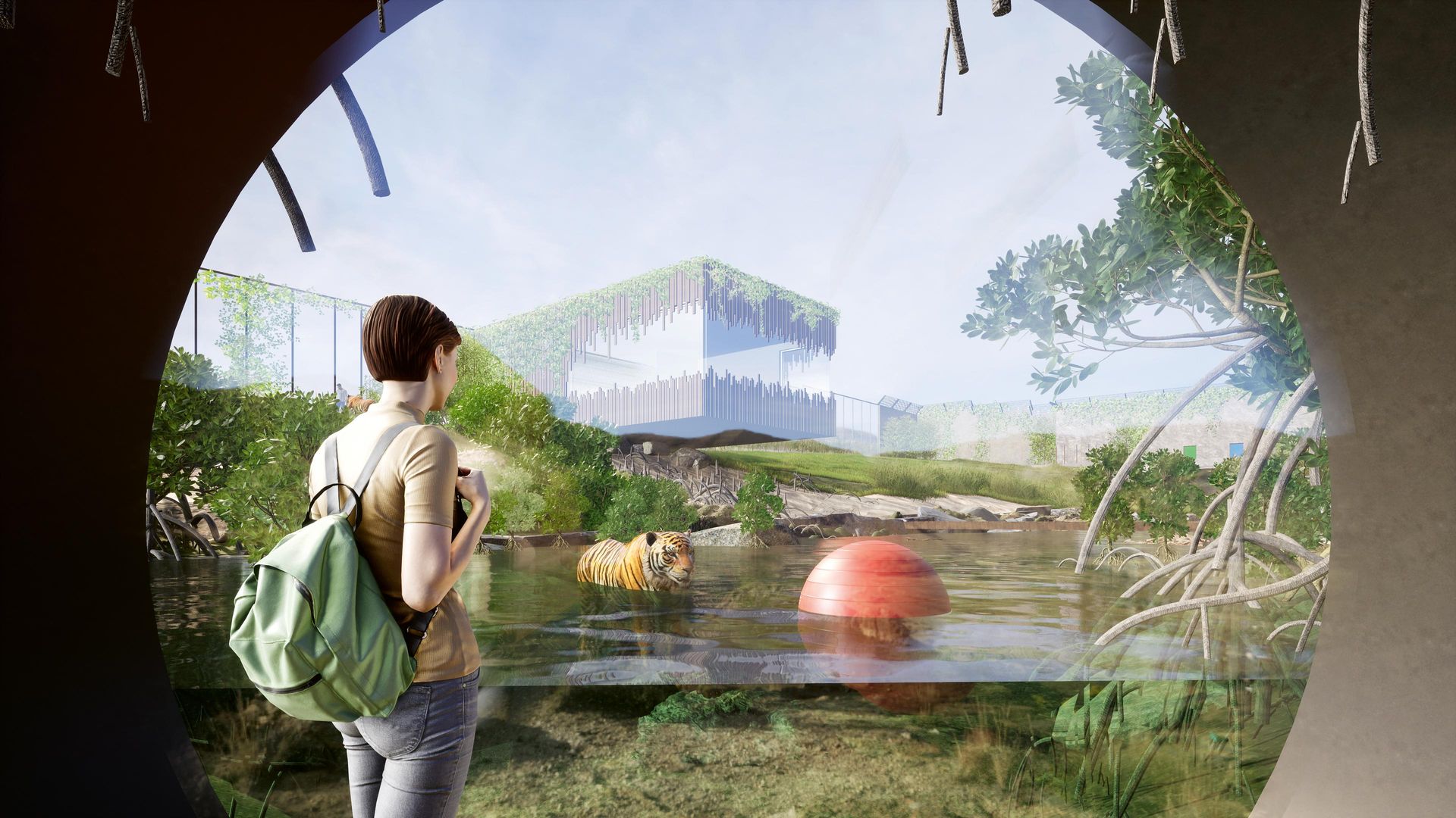 Wybieg dla tygrysa bengalskiego w Łącznej