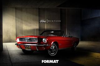 Jak wykreować idealny wizerunek swojego biznesu? Możesz mieć reklamę na czym tylko chcesz!