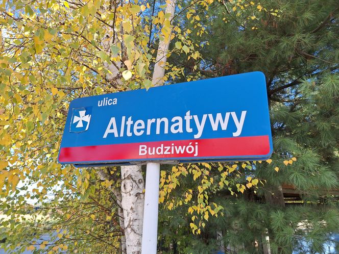 ul. Alternatywy 