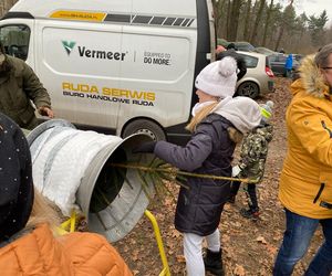 Akcja wycinania choinek w leśnictwie Grodziec