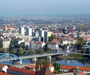 Bezpłatne warsztaty w Słubicach