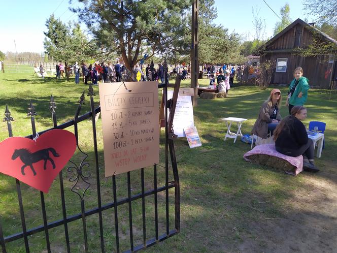 Fotorelacja z rodzinnego pikniku charytatywnego dla zwierząt z okazji I Dnia Konia w Łukówcu - 30.04.2023
