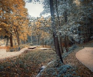 Park Miejski w Starachowicach. Powstał na terenach kopalnii żelaza