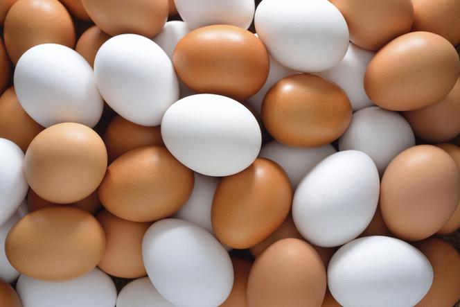 Dieta. Jakie jajka wybierać? RADY DIETETYKA