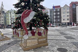 W centrum Gorzowa stanęła choinka! Jak wygląda?