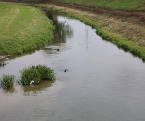 Jesienna odsłona terenów nad Bystrzycą w Lublinie. Tak się prezentuje w październiku