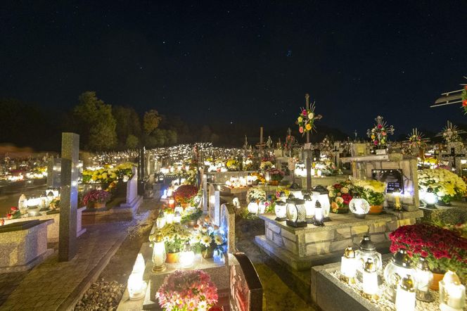 Ekologiczne znicze nagrobne – im mniej nieekologicznych zniczy i stroików, tym lepiej dla środowiska