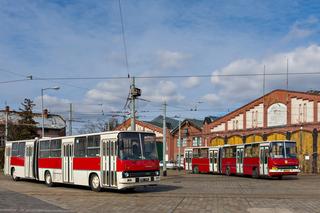 Startują Wrocławskie Linie Turystyczne! To przejazdy zabytkowymi tramwajami i autobusami