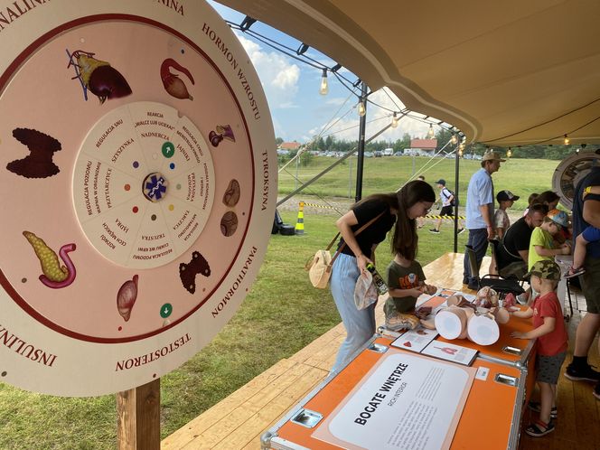 Rodzinny Piknik Lotniczy w Gryźlinach 2025