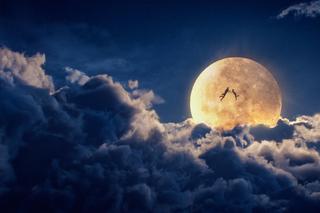 Akademia Pana Kleksa