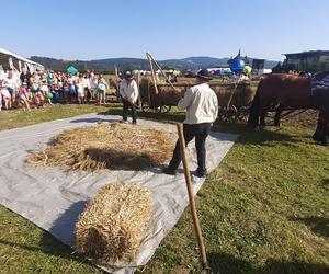 Trwa Agropromocja.  W ten weekend warto wybrać się do Starego Sącza 