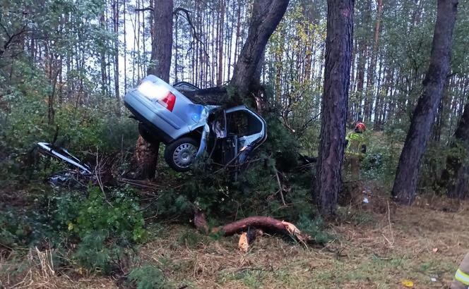 Stare Konopki. Volkswagen wbił się w drzewo. 25-latek nie miał szans. Tragiczny wypadek