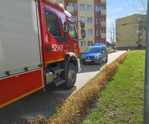 Przerażające odkrycie w święta! W zamkniętym mieszkaniu znaleziono zwłoki kobiety [ZDJĘCIA] 