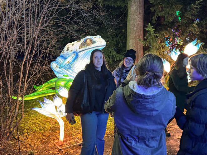 Garden of Lights we Wrocławiu