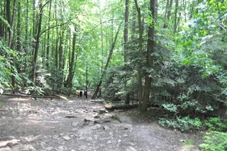 Świętokrzyska Kalwaria - droga z Nowej Słupi na Święty Krzyż