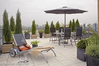 Iglaki na zewnętrzny parapet [Porada eksperta]