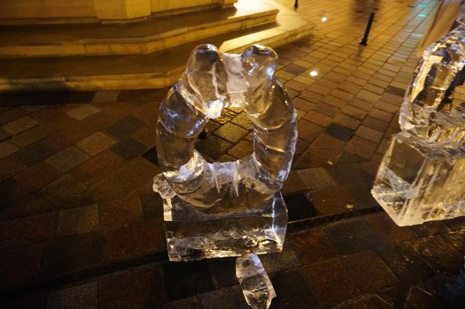 Poznań Ice Festival 2024 - dzień drugi