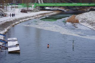 Lubelskie morsy wskoczyły do wody! „To banda cudownych wariatów”