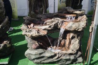 Wiosenny Kiermasz Ogrodniczy w Bydgoszczy [ZDJĘCIA]