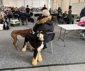 ZooPark w Lublinie. Dzień drugi