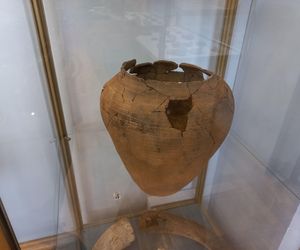 W poszukiwaniu początków Leszna. Nowa wystawa w muzeum w Lesznie