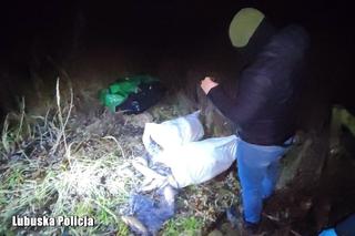 Kłusowali na oczach policji