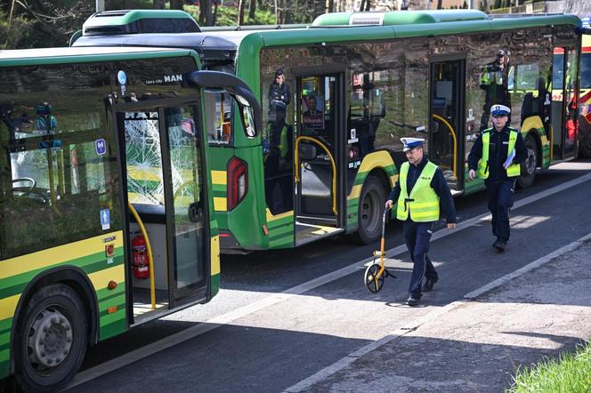 Zderzenie autobusów 