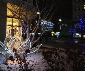 Świąteczne dekoracje w centrum Gdyni