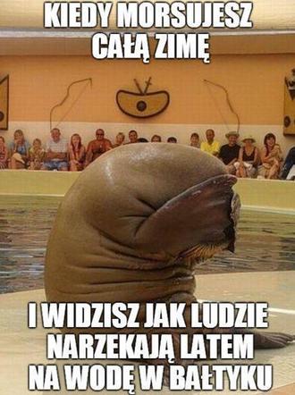Morsowanie: MEMY 2021. Zobacz najlepsze obrazki i memy o morsowaniu! [ZDJĘCIA]