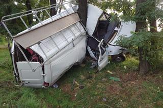 Bus owinął się wokół drzewa, kierowca po alkoholu. Poranny wypadek koło Leszna [ZDJĘCIA]