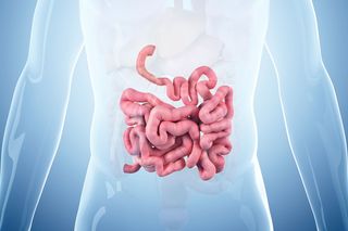 Zapalenie i niedrożność jelit przyczyną śmierci Seweryna z Rybnika?